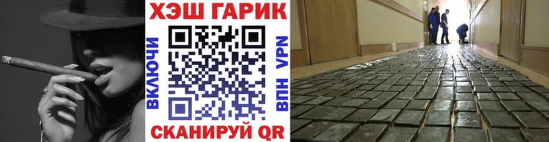 Купить где  Зубцов  ГАШ ice o lator 