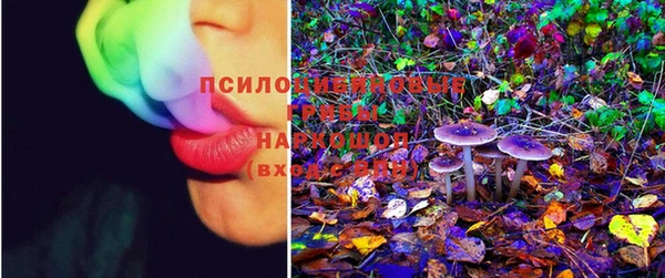 шишки Остров