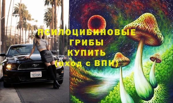шишки Остров