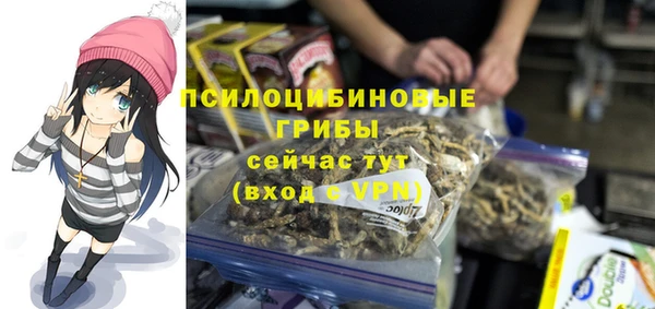 шишки Остров