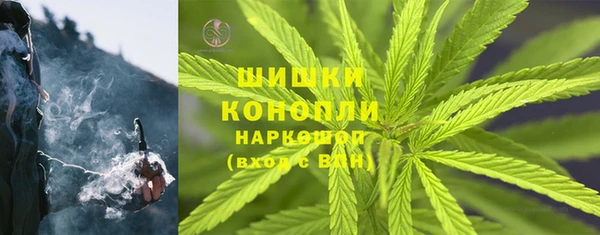 шишки Остров