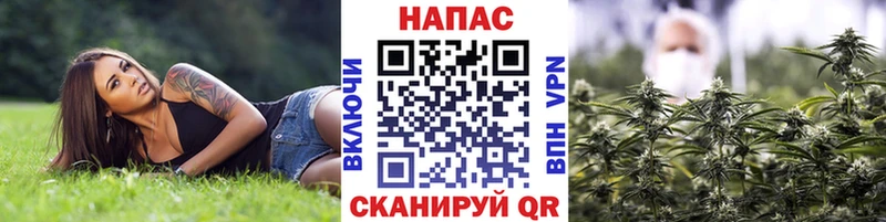 Шишки марихуана Ganja  Купить где  Зубцов 